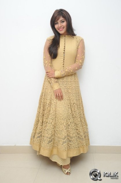 Anjali-at-Geethanjali-Movie-Success-Meet